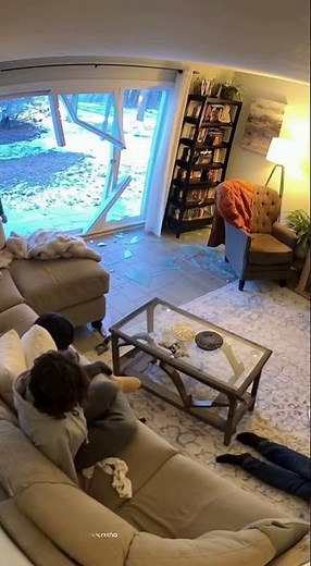 Moose in the Living Room?! 😂🦌 (Total Chaos Mode!)