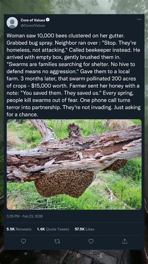 A Swarm With No Home… Until This Happened 🐝❤️ #shorts #animals #naturevideo #viralvideo