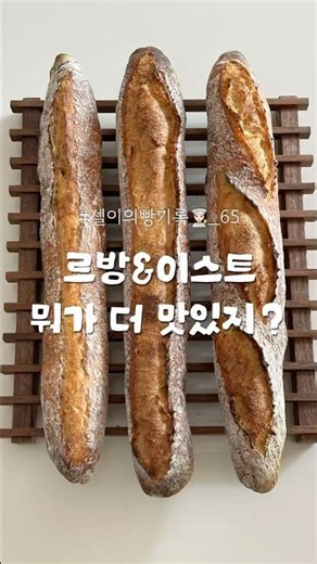 르방&이스트 손반죽 무반죽 바게트 비교하기 #바게트만들기 #바게트 #르방바게트