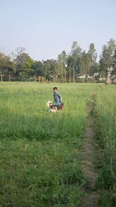 गाँव याद आता है । | Pagdandi