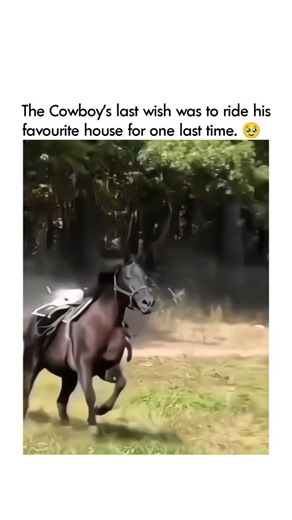 Success | Motivation | Relatable | The cowboy’s final wish was simple — to ride with his favorite horse one last time. But fate had other plans. Instead, in a moment that... | Instagram