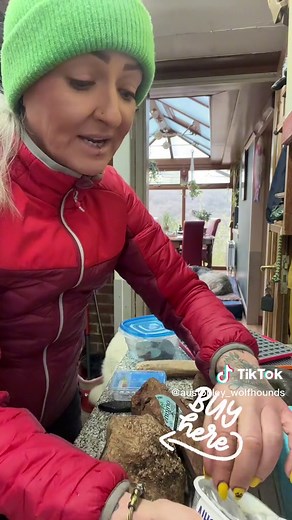 Quick Dog Enrichment Ideas for When You're in a Rush