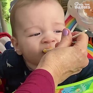 132K views · 1.5K reactions | Laugh as you watch these developing paletes! 北 | All The Babies | Facebook