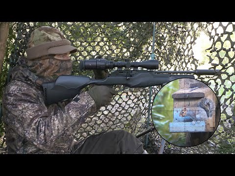 The Airgun Show – manic squirrel hunt with the Walther RM8, PLUS the new BSA Ultra CLX on test…