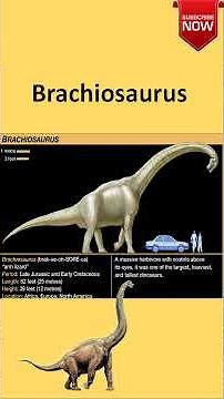 Brachiosaurus Dinosaur Sound @-Info