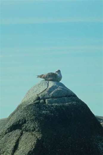 Tide Pools (2023) - Movie
