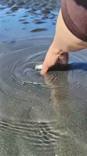 This is what I understand, a find and also a catch?? #viral #fish #fishing #krab👌👌😱😱👌👌👌👉👉👉👉👀👀👀👀👀