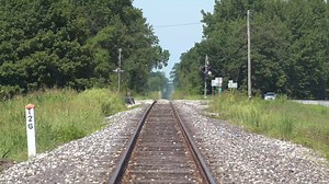 8.5K views · 113 reactions | Newman started out as a small settlement...