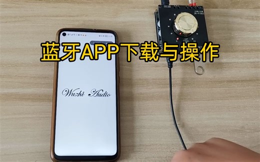 Wuzhi Audio 蓝牙APP连接与操作演示