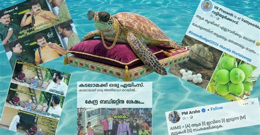 Turtles hog troll fest in Kerala after union budget spurns state's ambitious plans