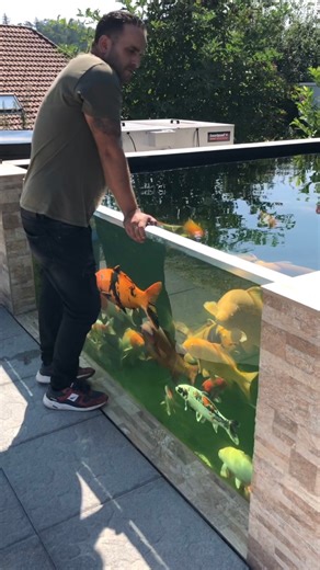 1.6M views · 33K reactions | Most Insane Fish Pond & Garden Design IDEA - I NEED THIS! 勞 #koipond #koi #garden #pondlife #gardeninspiration #diyprojects #diy | The Koi Partner | Facebook