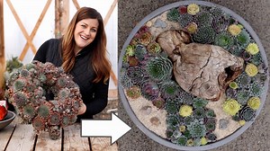 109K views · 3K reactions | Old Sempervivum Wreath Turned into New Arrangement!  | Garden Answer | Facebook