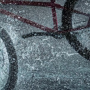 34 reactions | Le Profoto B1X est décrit par de nombreux photographes d'action comme le flash ultime, lorsque vous avez absolument besoin d'un flash suffisamment rapide pour capturer l'action. | Profoto | Facebook