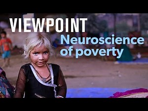 Does poverty damage children's brains? Full interview with Amy Wax | VIEWPOINT