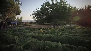 58 reactions · 34 shares | 60 miles west of Las Vegas. 180 degrees different. | Pahrump, Nevada | Facebook