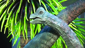 62K views · 574 reactions | Do your kids love dinosaurs? Then you...