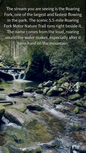 8.4K views · 242 reactions | Take a scenic drive along the fast flowing Roaring Fork stream. #smokymountains #gatlinburg #scenicdrive | TheSmokyMountains.com | Facebook
