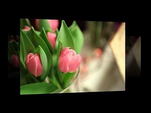 Milestone Slideshows | Anniversary Slideshow | 70th Wedding Anniversary