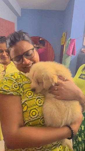 940 reactions · 6 comments | Satisfied client . Call-7044953478☎️. Amit pet house  #Panihati #goldenretriever #jadavpur #hilights #everyone | Amit Mukherjee | Facebook