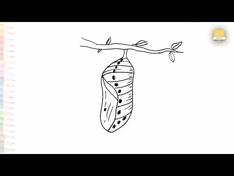Butterfly cocoon drawing easy | Art tutorial | How to draw A Cocoon step by step | #artjanag