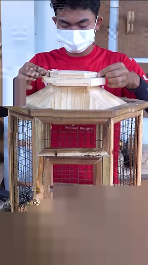 DIY Wooden Bird Cage making from Old Pallets and Steel Net #birdnest #birdfeeder #birdhouse #birds #woodworking #woodwork #woodart #woodprojects #woodworkingprojects #woodcraft #carpenter #birdhouse #feeding #homemade #reels #fbreels #amazing #wow #Awesome #ideas #sawjig #diy | Woodworking TV