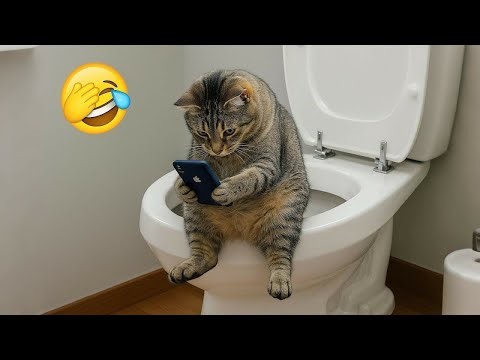 New Funniest Cats and Dogs Videos 2025😼🐶Try Not To Laugh😜