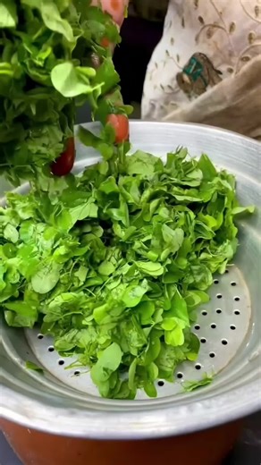 Discover Moringa Tea Health Benefits for Wellness