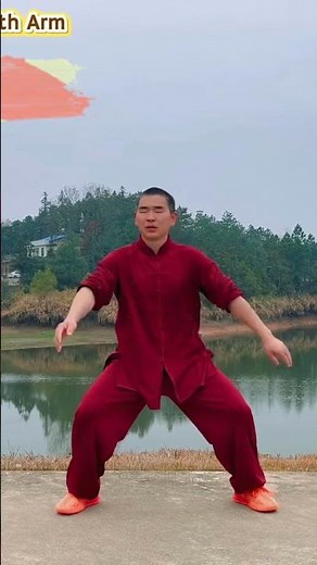 Tai Chi Waist Twist with Arm Swing Breakdown #taichi #tutorial #shorts