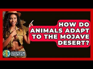 How Do Animals Adapt To The Mojave Desert? - Ecosystem Essentials