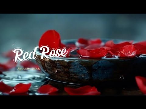Red Rose |Romantic Music |