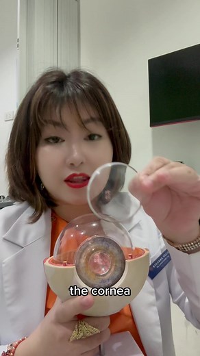 2.4K views · 70 reactions | Why 樂 do your eyes  turn red when dry?...