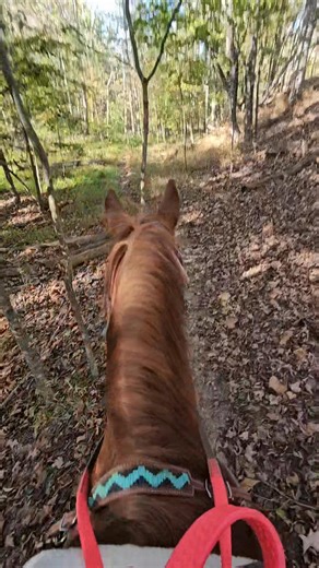Big Johnny hit the trails yesterday. | Sky Fires-Practical Pony
