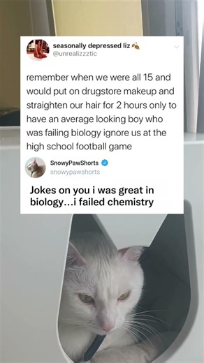 High School Dating Effort vs Reality Check