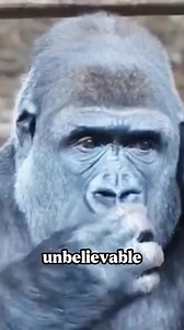 10 Unbelievable Animal Facts That'll Echo in Your Mind for Days! #animalfacts #wildlife | Be Animal Facts