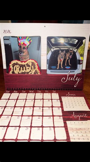 Another calendar, another year 💫 I’ve been making calendars of the dogs for the last 5 years and gifting them as Christmas presents to my family 📆 #calendar #personalizedgifts #gsd #fyp #2026