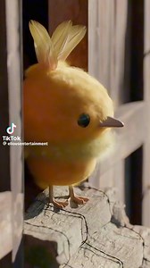 Torchic your Favorite Fluffy Fireball🧡🔥 #Pokemon #fire #firetype #Chick #starter | Rayquaza