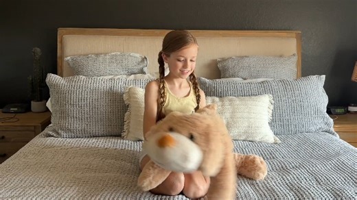 Watch stuffed dog plush on Amazon Live