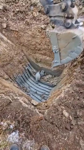 #usa🇺🇸 #stories #viral #fypシ