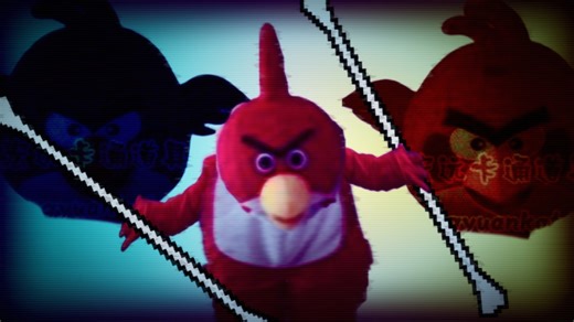 迷失的小鸟出现了