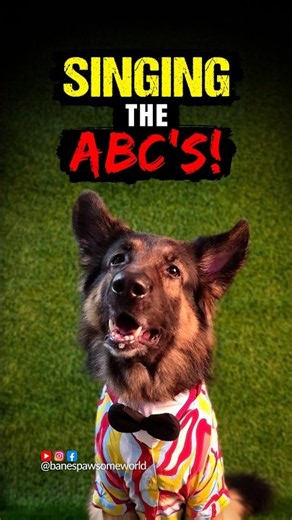 I BET You I Can SING The ABC's 🔤👑🐾 #shorts #mindgame #singingdog