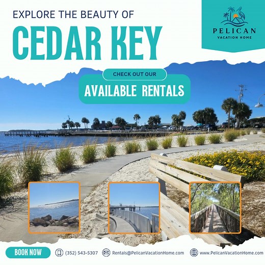 2K views · 11 reactions | ❄️☀️ Winter in Cedar Key is heating up! ...