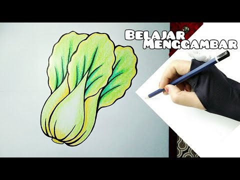 Cara Menggambar Sawi Hijau - How To Draw Mustard Greens | Belajar Menggambar Untuk Anak dan Pemula