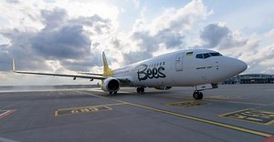 Оставшийся без самолетов Bees Airline нашел способ не отменять рейсы