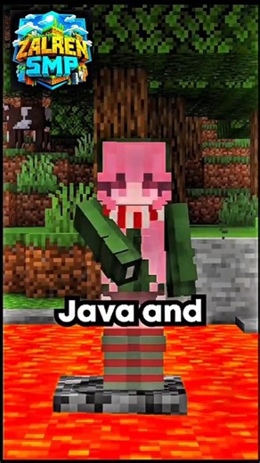 🥳 Best New Minecraft SMP IP at End 😱