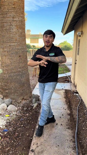 Building the Perfect Backyard Pool Experience