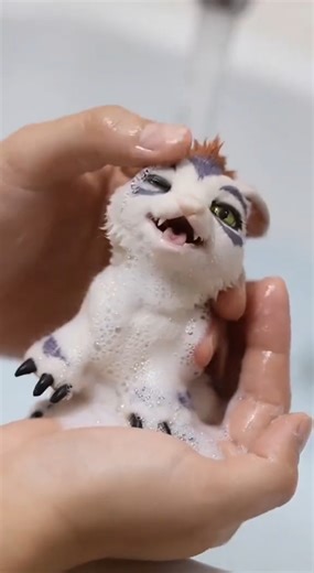 那边在路边捡了一只狗里狗气的哥玛兽 #哥玛兽 #数码宝贝 #digimon #今日分享 #童年回忆动画片