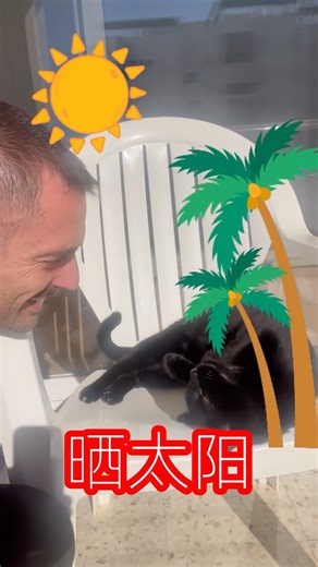 Cutest Belly-Up Sunshine Cat … Completely Ignoring My Chinese #cat #funnycats #cutecat