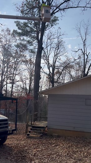 Bramlett's Tree Service on Reels | Facebook