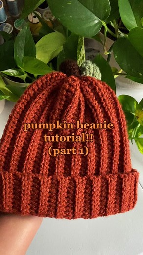 Pumpkin Beanie Tutorial Part 1 for Crocheters