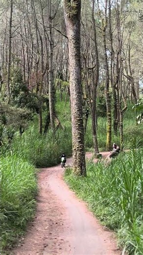Campurider Touring Motor ke Manikliu Kintamani - Hai Bali Channel
